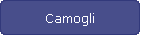 Camogli